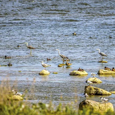 بيت للعطل With Fireplace I نوفي فاربنو