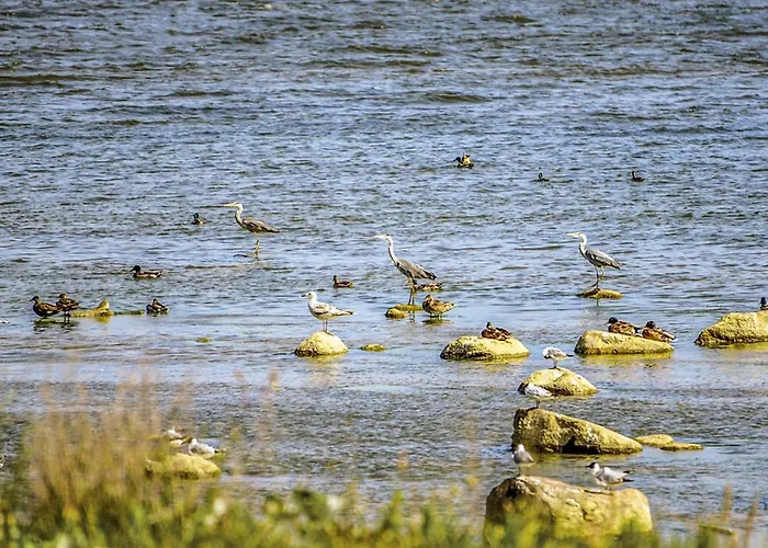 بيت للعطل With Fireplace I نوفي فاربنو